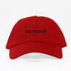 Dios Proveera