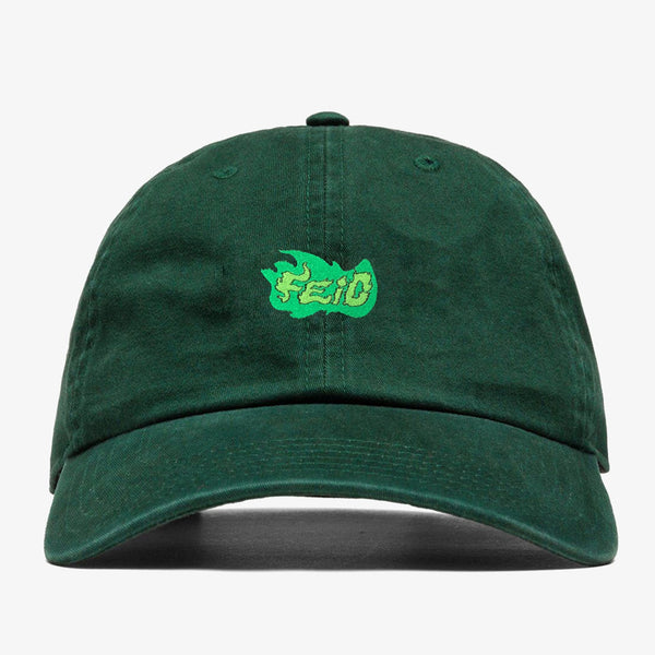 FEID LOGO
